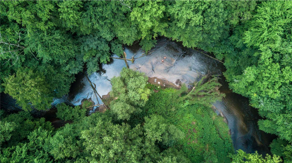 ein Fluss aus Vogelperspektive, umgeben von Bäumen